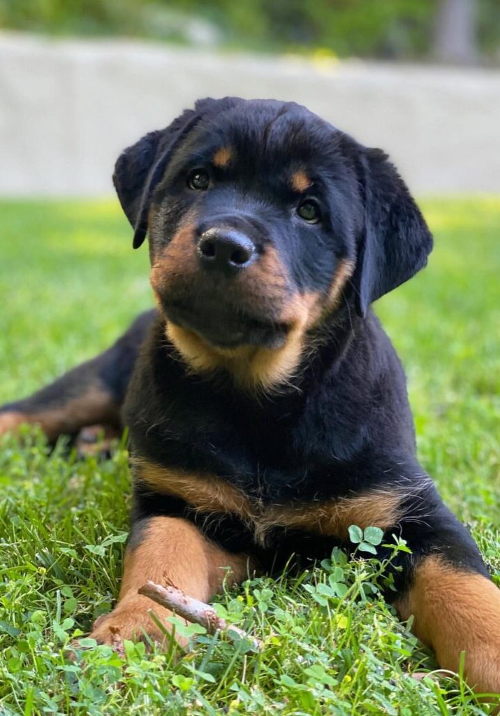 Hanna_1 2 Hanna_1 2